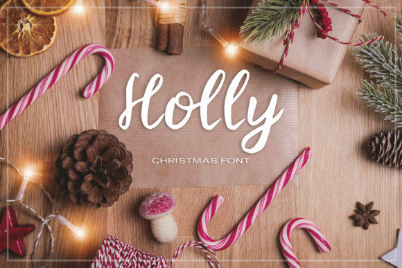 Holly Handwritten Font: A Creative Touch for Small Business Branding