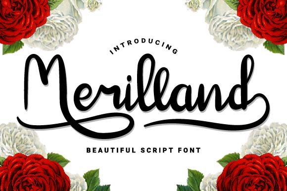 Merilland Typeface Review: A Handwritten Font for Digital Branding