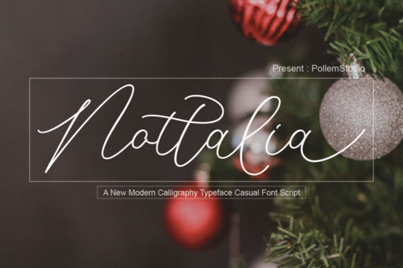 Nottalia: A Modern Script Font for Elegant Brand Identity Projects