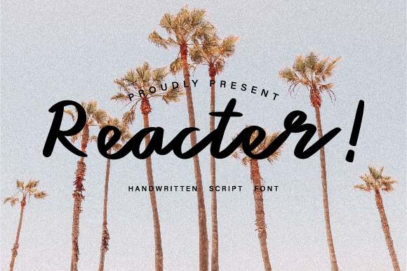 Reacter Typeface: A Modern Script for Digital Branding