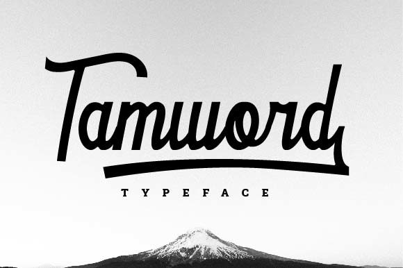 Tamword: A Balanced Handwritten Typeface for Modern Web Design