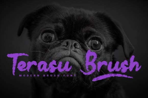 Terasu Brush: The Handwritten Typeface That Elevates Your Brand Identity