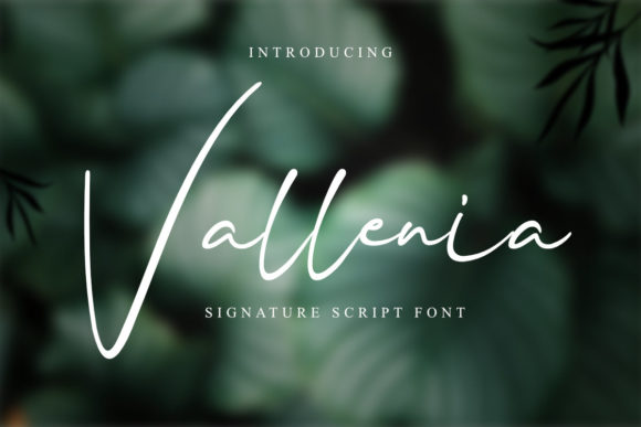 Vallenia: A Handwritten Typeface for Modern Brand Identity